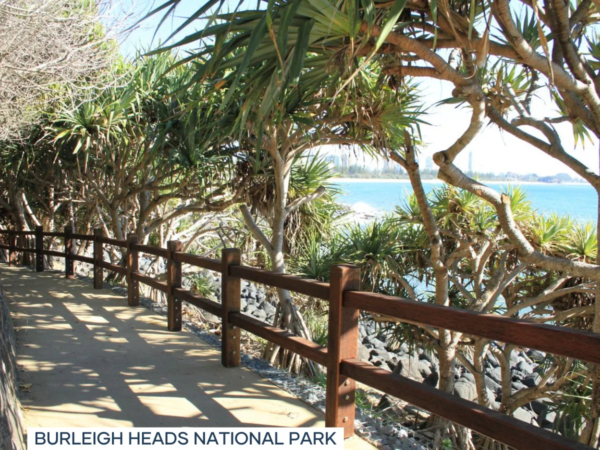 Additional image 26 of 29 Acanthus Avenue, Burleigh Heads QLD 4220