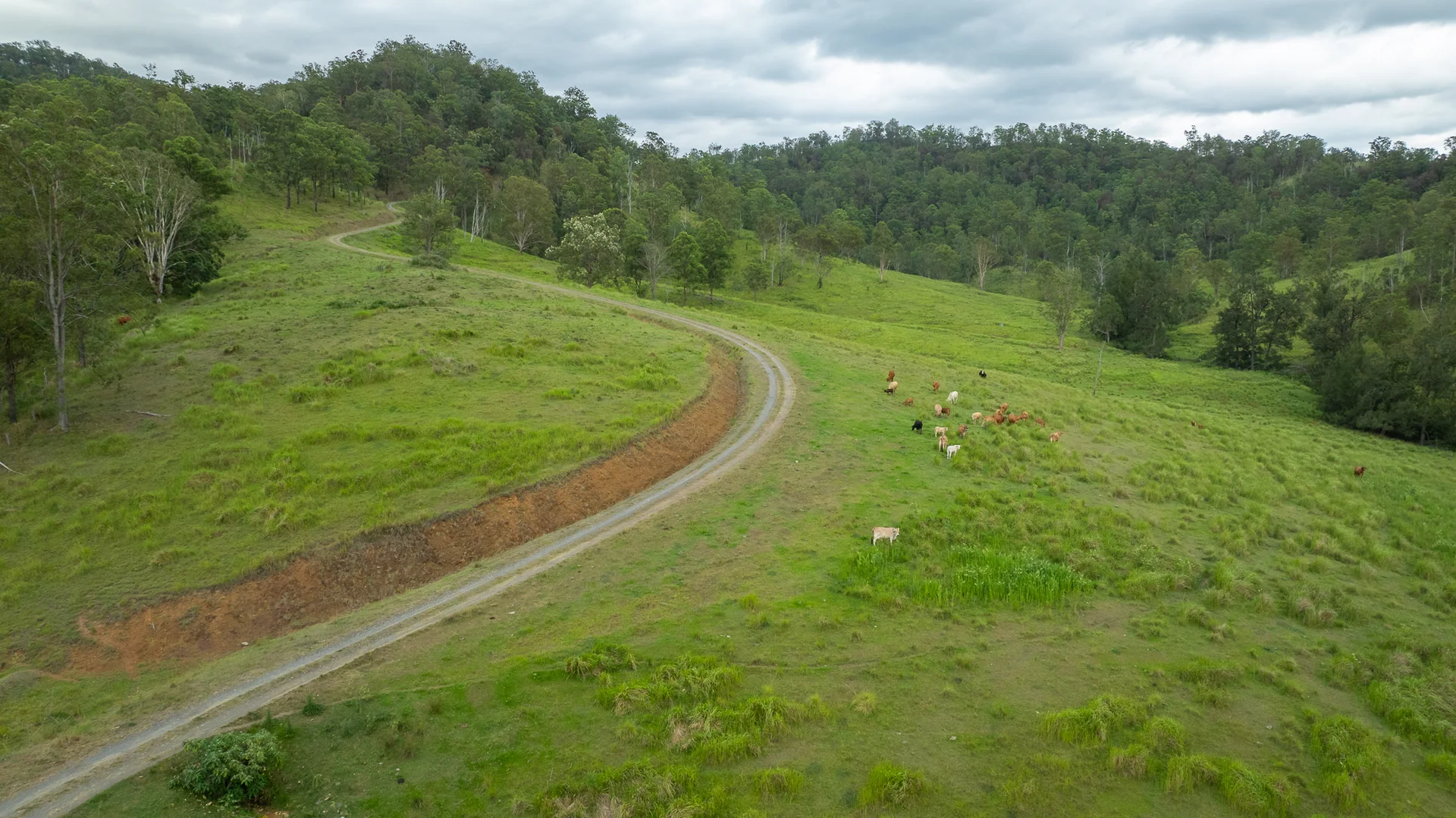 Additional image 11 of 2956 Carnham Road, Coombadjha NSW 2460