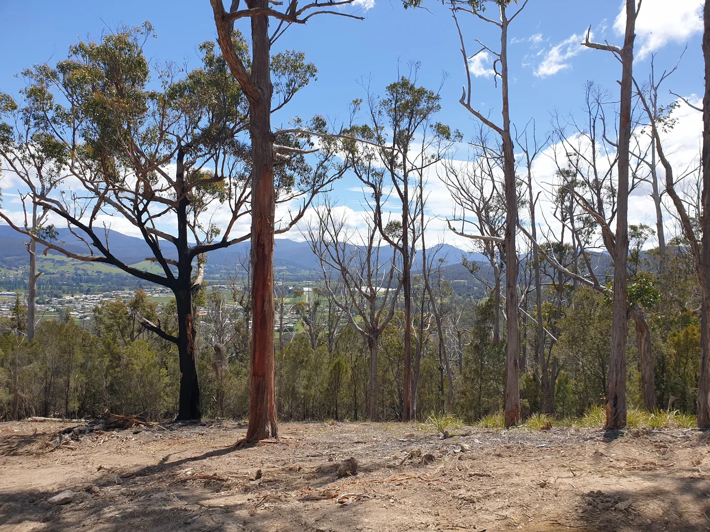 Additional image 3 of 9032 Channel Highway, Huonville TAS 7109