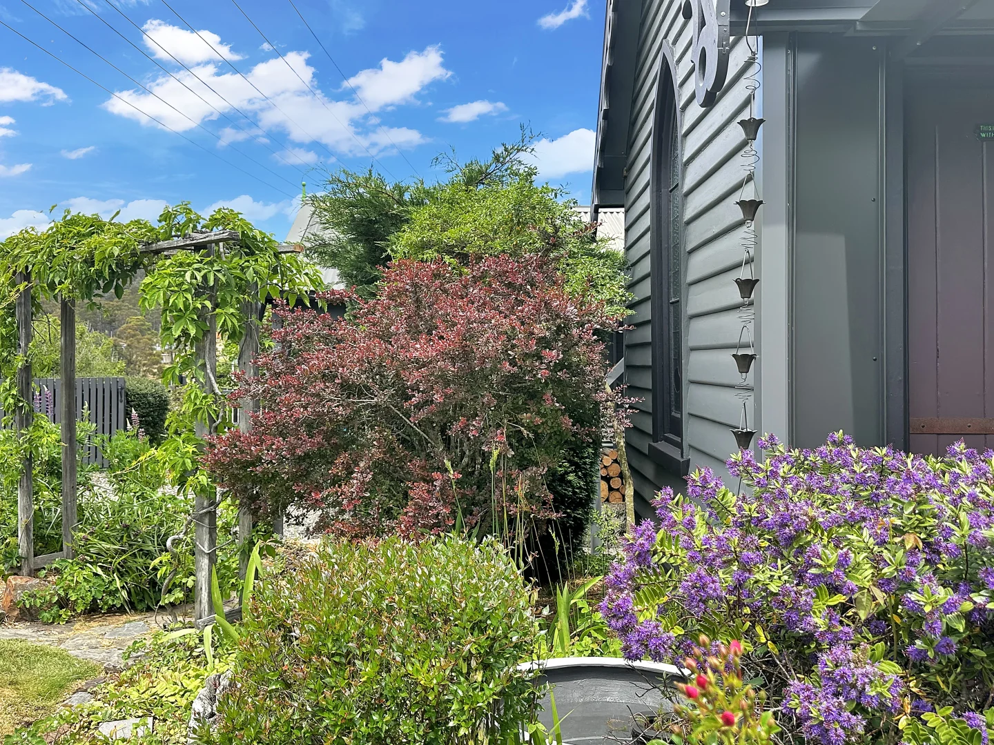 Additional image 42 of 15 Lee Street, Rossarden TAS 7213