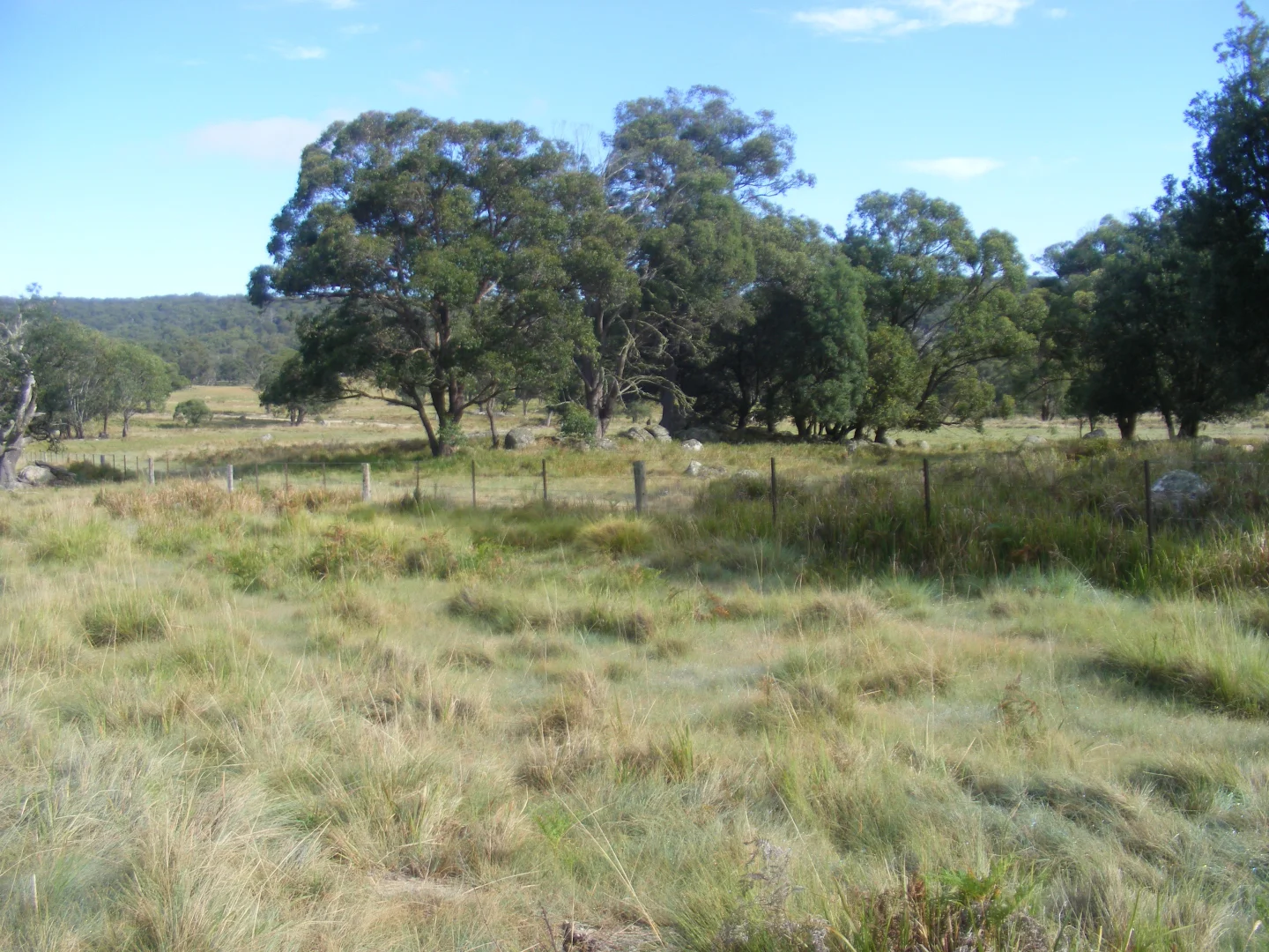 Additional image 14 of 618 Coopers Road, Red Range NSW 2370