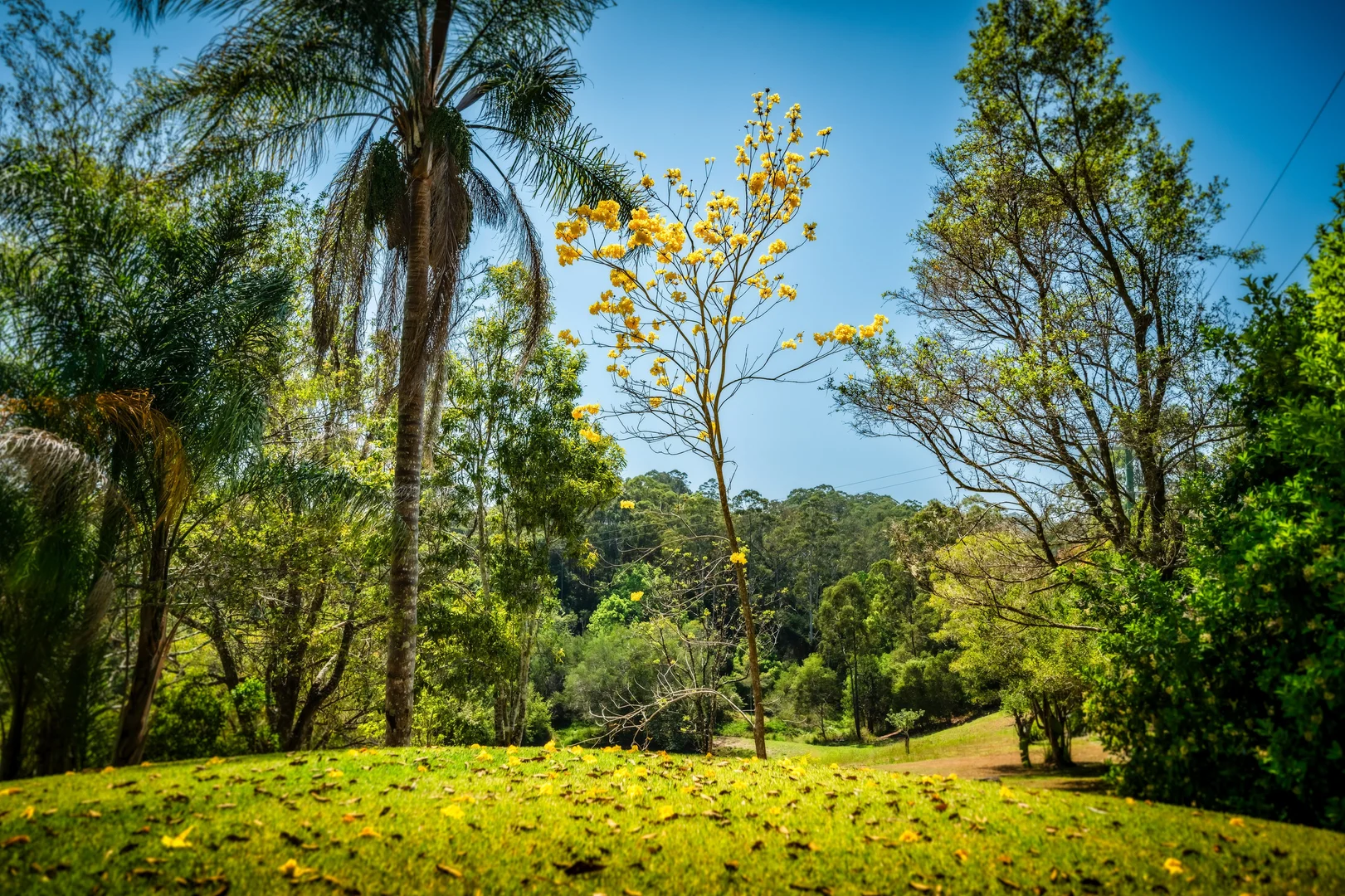 Additional image 8 of 71 Pulsford Place, Fernmount NSW 2454