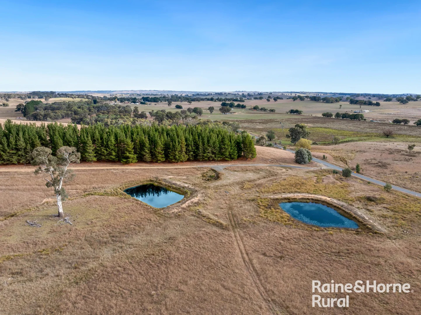 Additional image 4 of 258 Kangaloolah Road, Binda NSW 2583