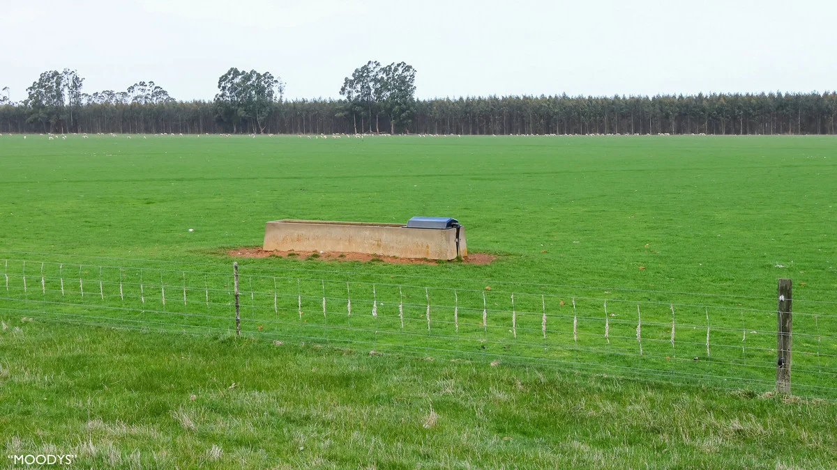 Additional image 25 of 3960 Dartmoor-Hamilton Road, Grassdale VIC 3302