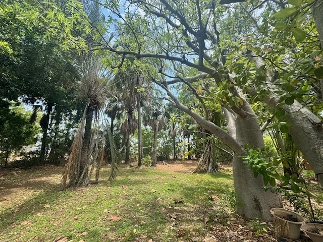 Additional image 7 of 101 Mills Road, Kununurra WA 6743