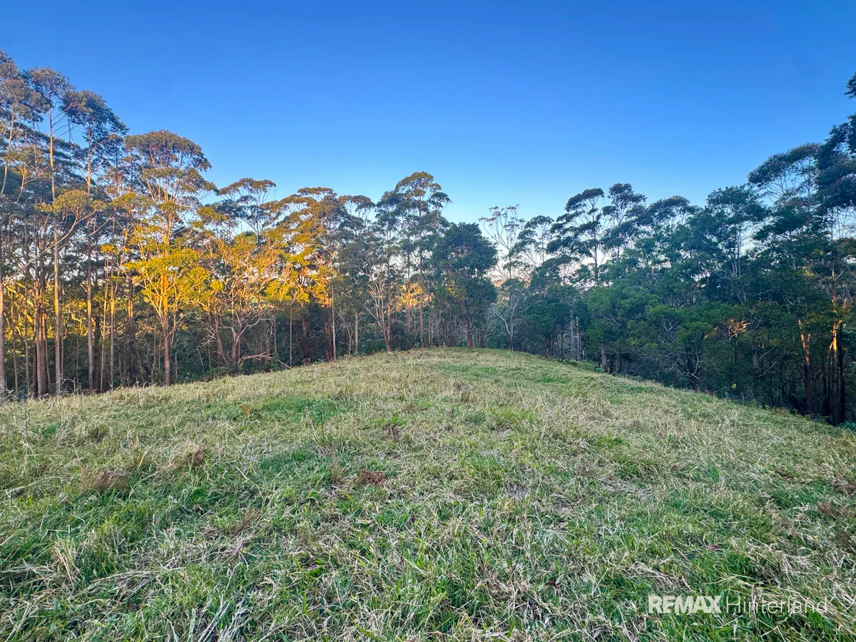 Additional image 14 of 161-273 Gap Road, Booroobin QLD 4552