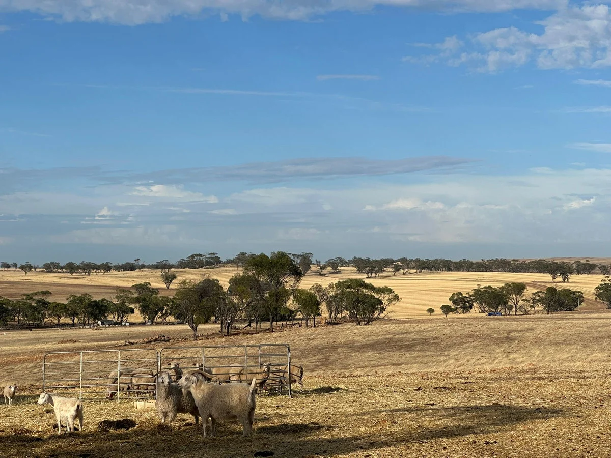 Additional image 8 of 2130 Long Forrest Road, Mumberkine WA 6401