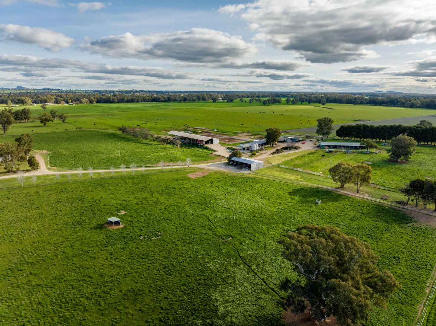 Additional image 15 of 1871 Old Narrandera Road, Euberta NSW 2650