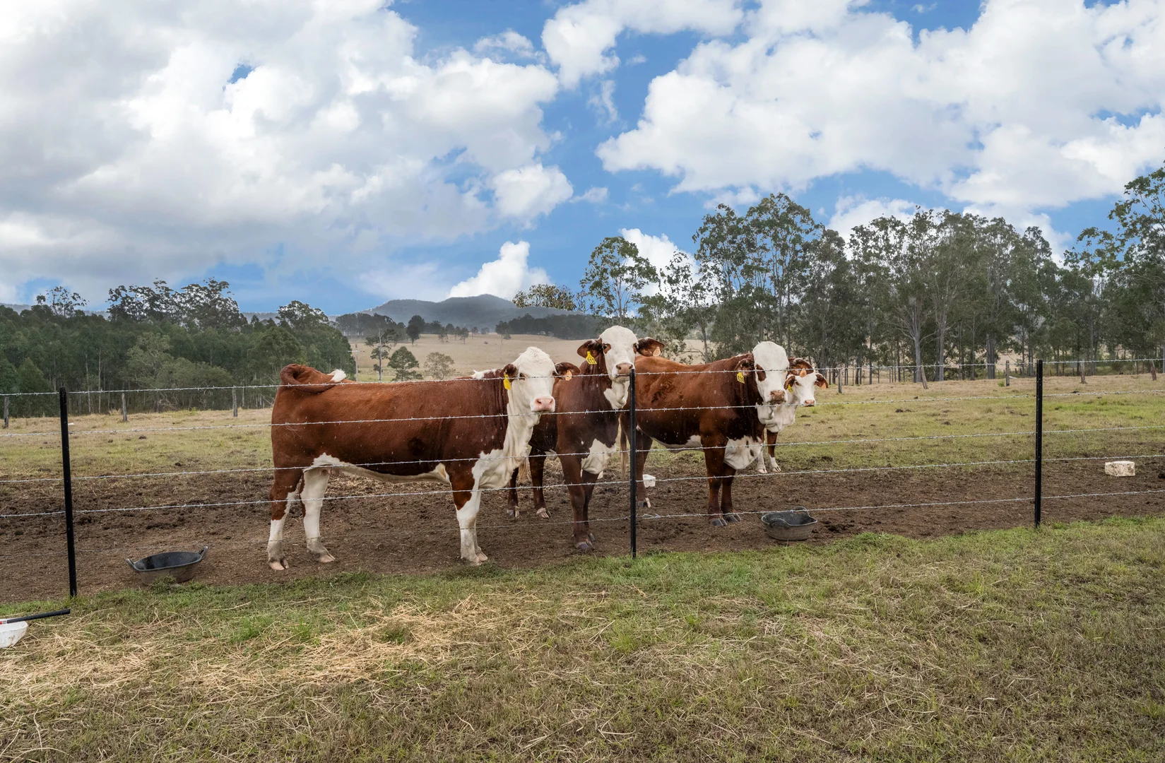 Additional image 21 of 2317 Coaldale Road, Coaldale NSW 2460