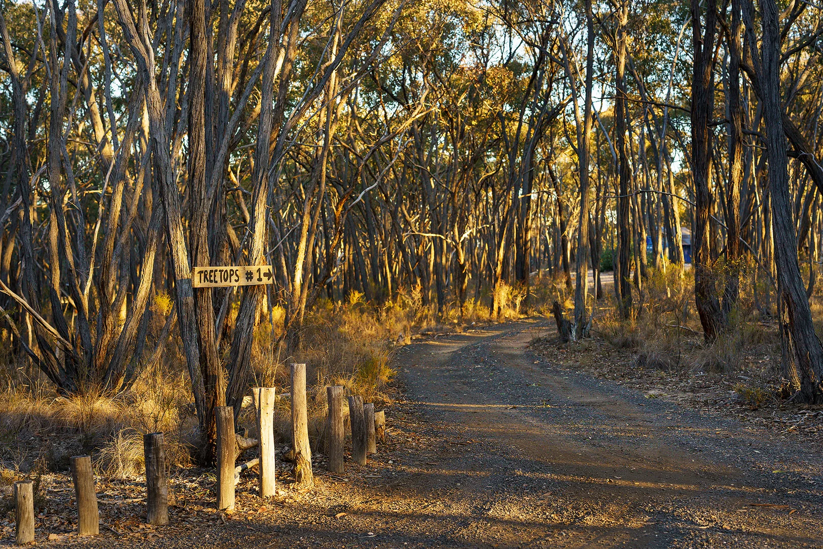 Additional image 18 of 141 Sinclairs Lane, Walmer VIC 3463