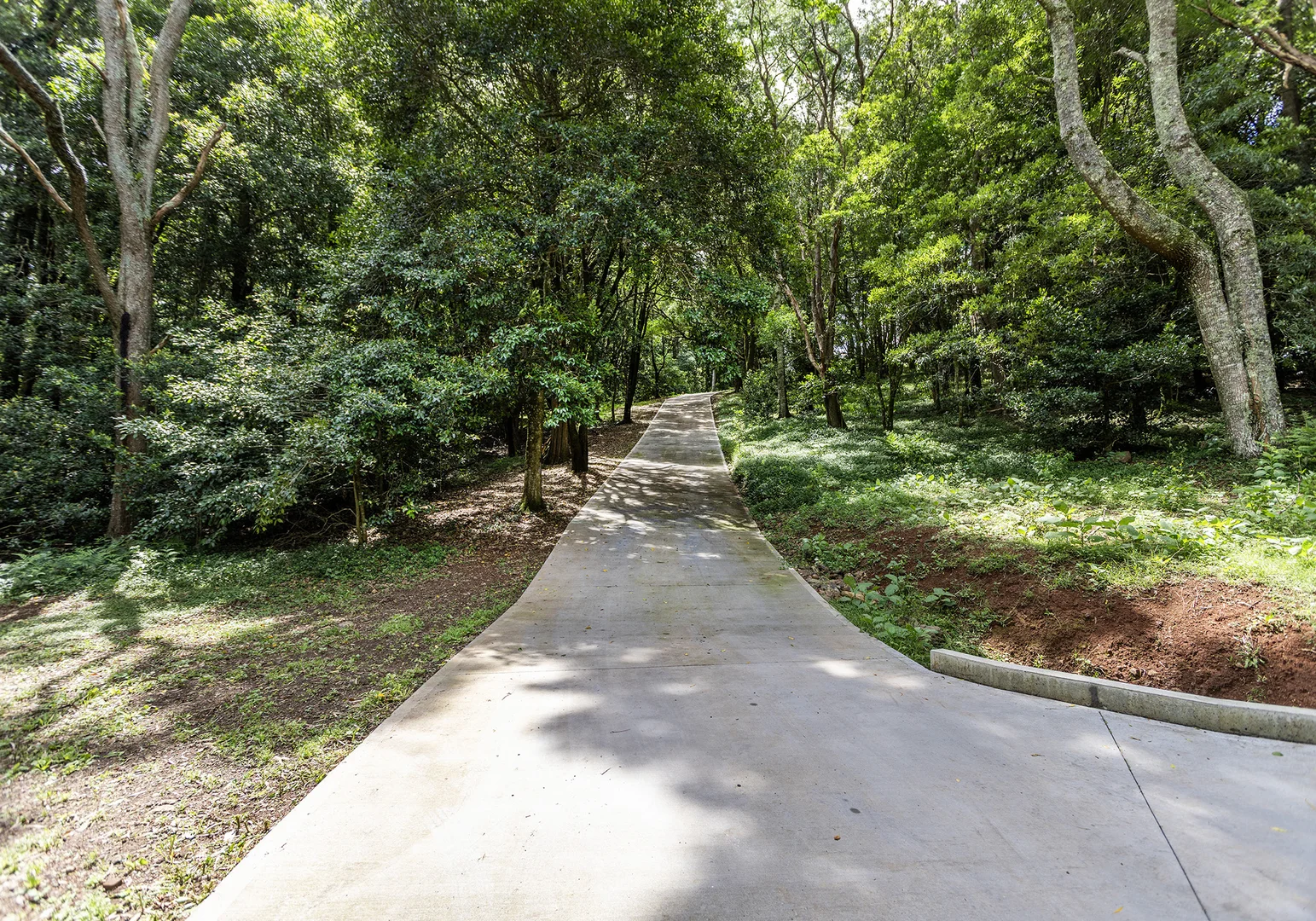 Additional image 12 of 332 Foxground Road, Foxground NSW 2534