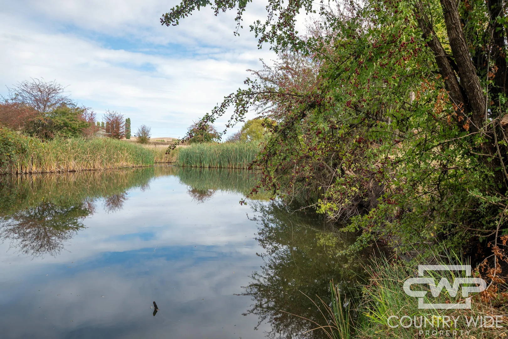 Additional image 9 of 172 Hazelwood Road, Stonehenge NSW 2370