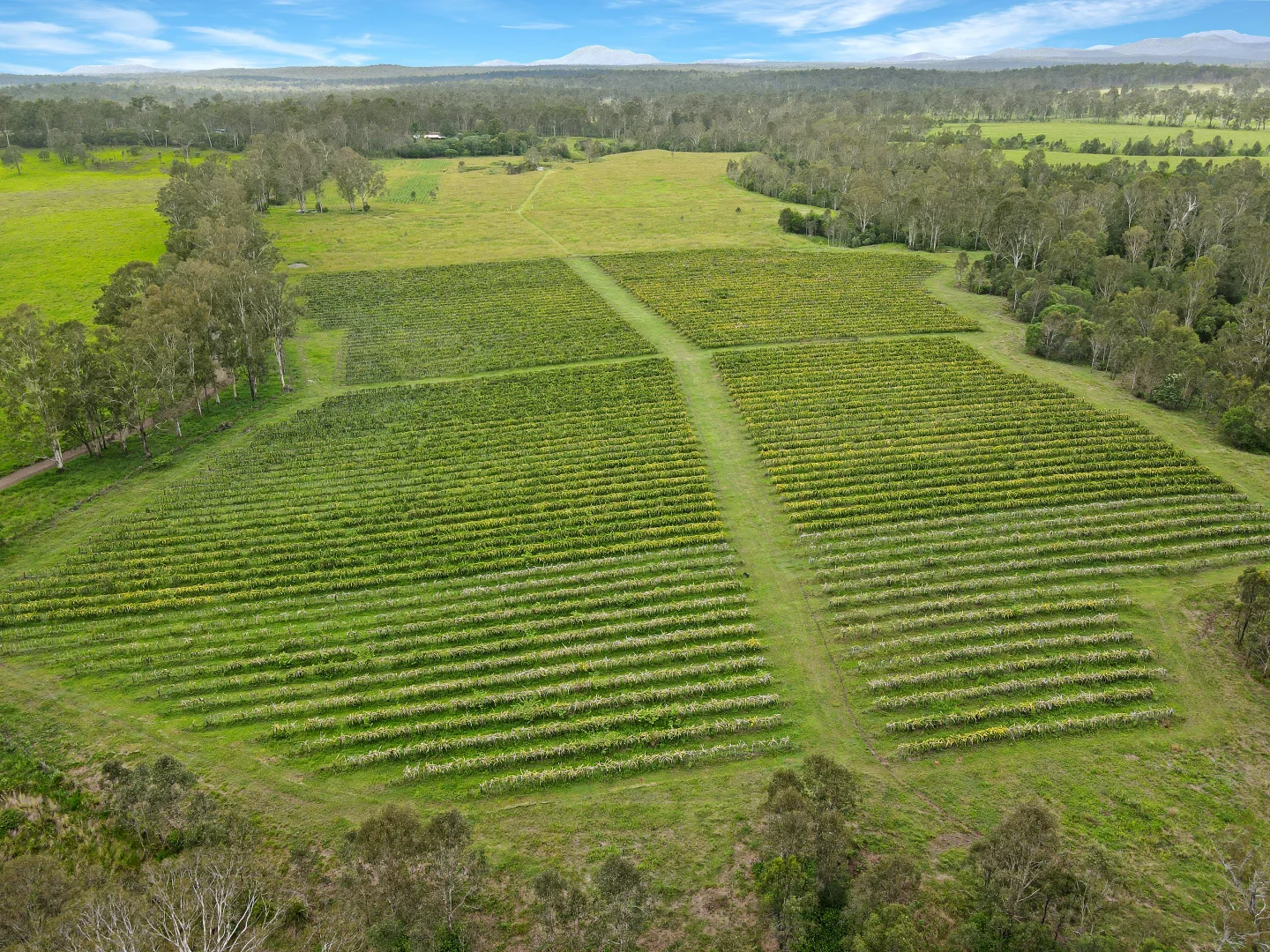 Additional image 5 of 126/288 Blowers Road, Munna Creek QLD 4570