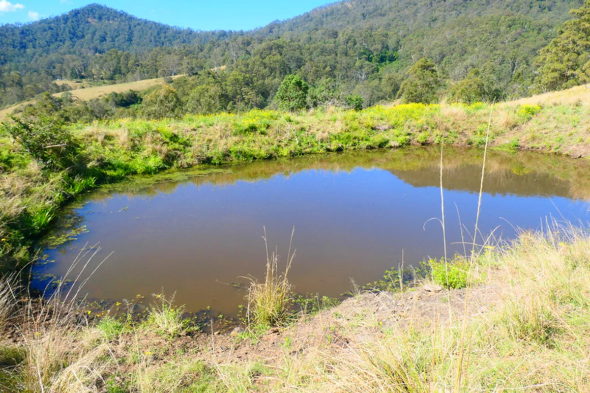 Additional image 30 of 602 Gradys Creek Road, Kyogle NSW 2474