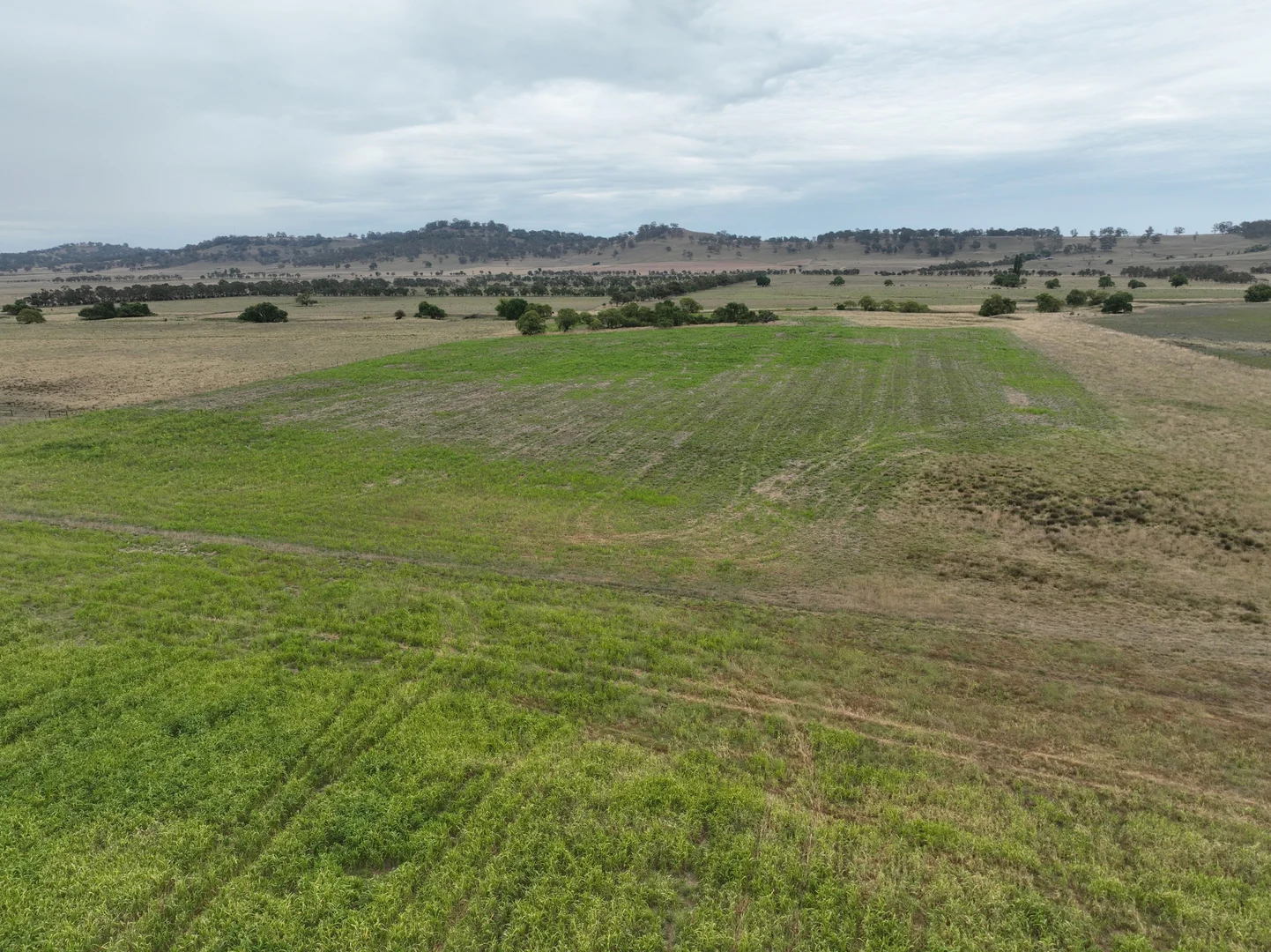 Additional image 4 of 638 Furracabad Road, Glen Innes NSW 2370