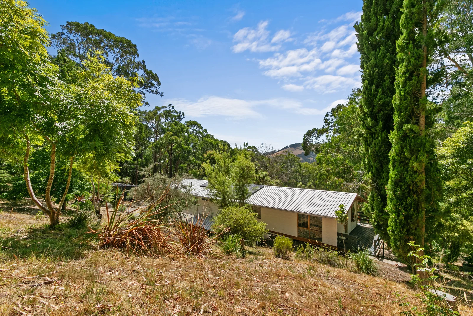 Additional image 35 of 783 Jumbuk Road, Jeeralang Junction VIC 3840