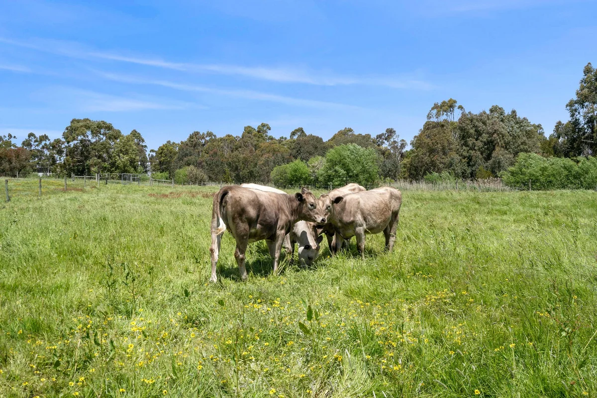 Additional image 19 of 38 Wilson Street, Colac VIC 3250