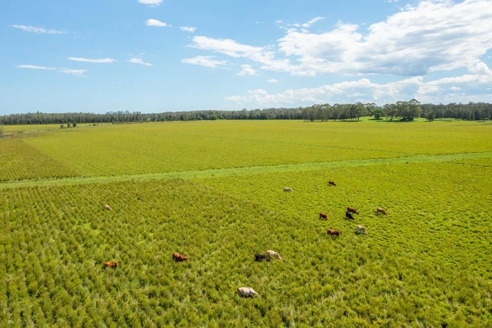 Additional image 6 of 1205 Maria River Road, Limeburners Creek NSW 2444