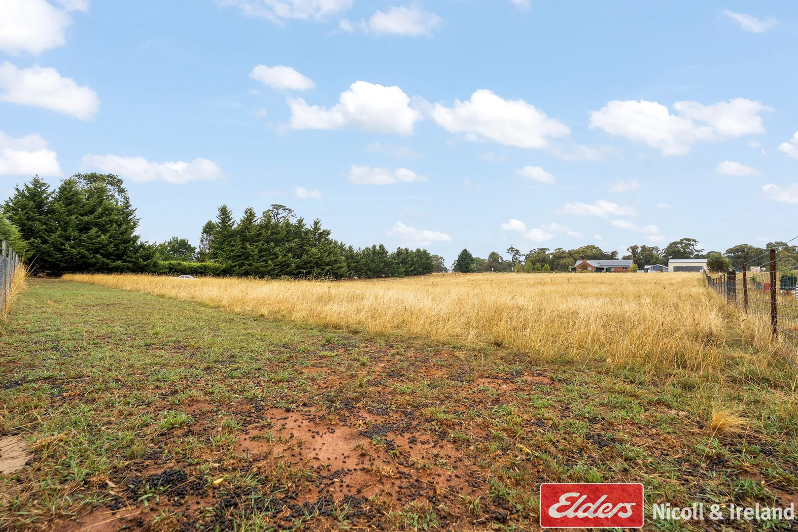 Additional image 19 of 70 Kentucky Road, Neville NSW 2799