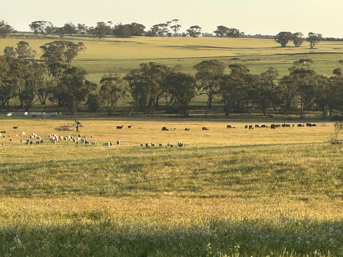 2130 Long Forrest Road, Mumberkine WA 6401