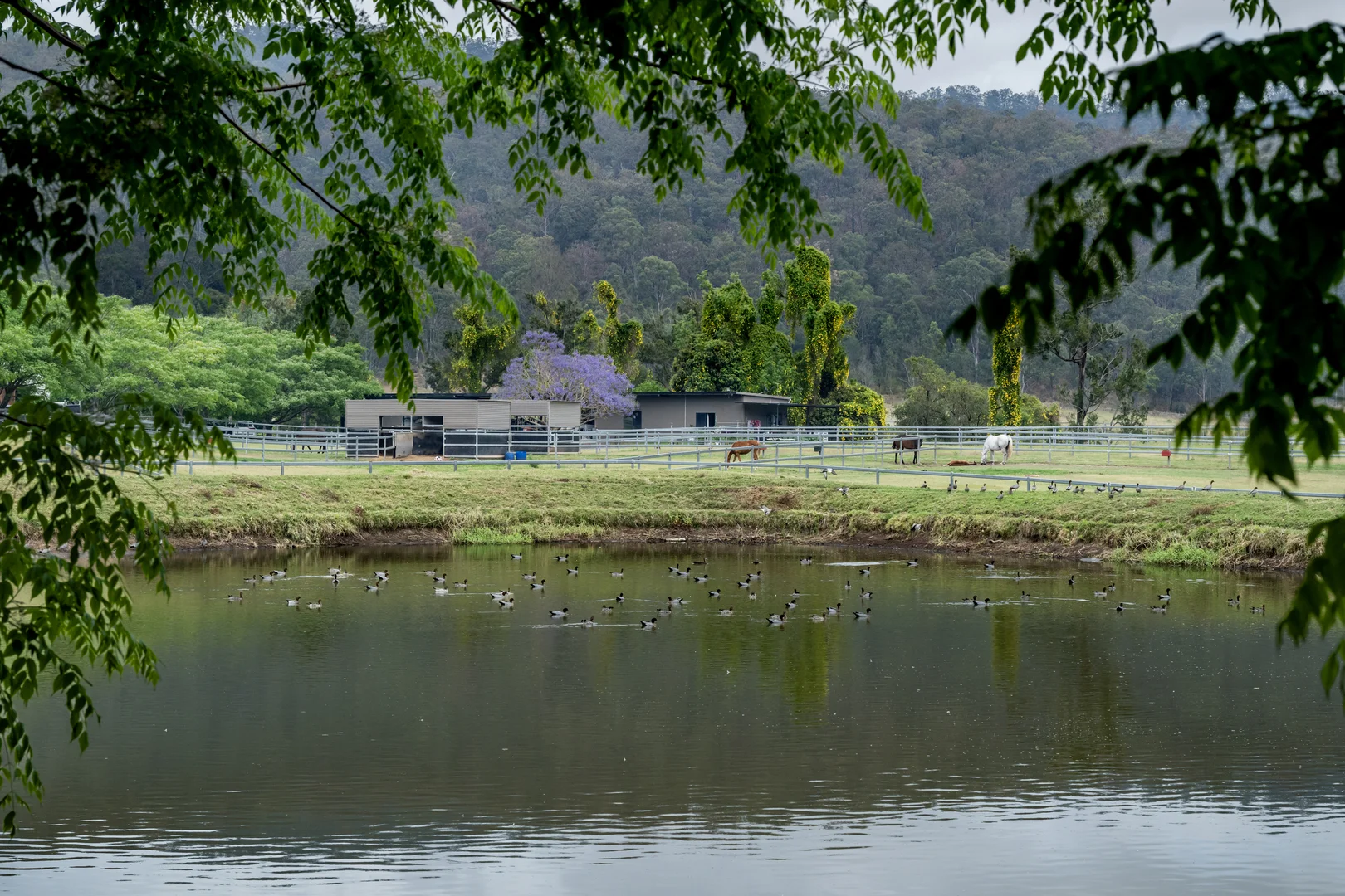 Additional image 28 of 2567 Beaudesert Nerang Road, Benobble QLD 4275