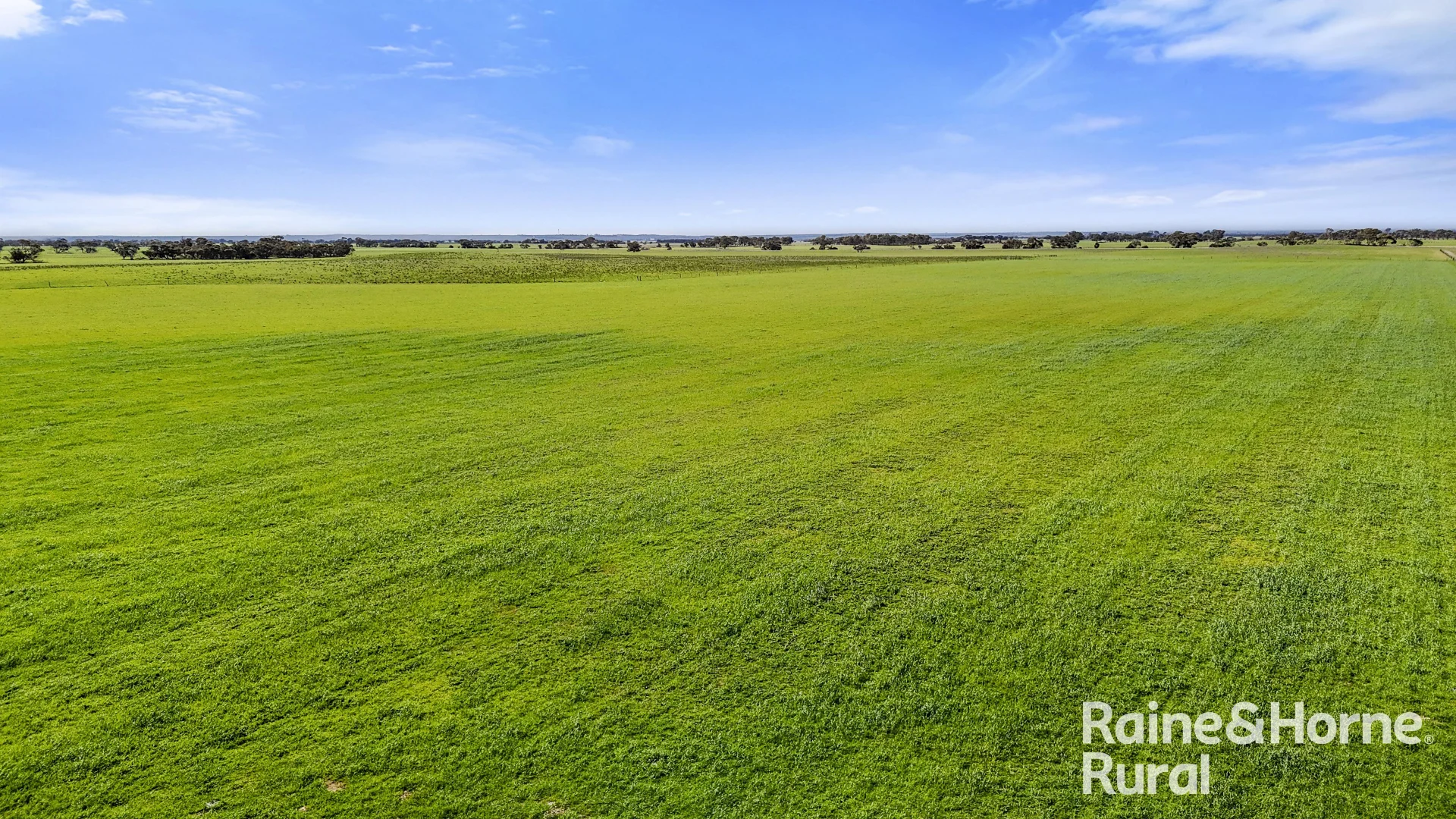 Additional image 10 of 378 Jones Road, Yumali SA 5261