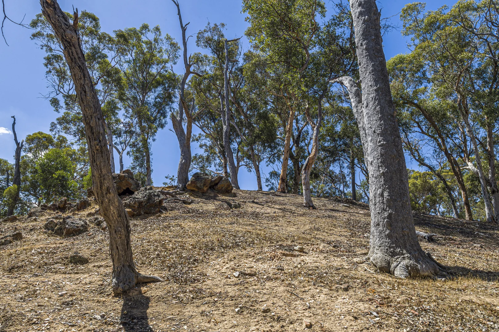 Additional image 24 of 132 Wisteria Way, Chittering WA 6084