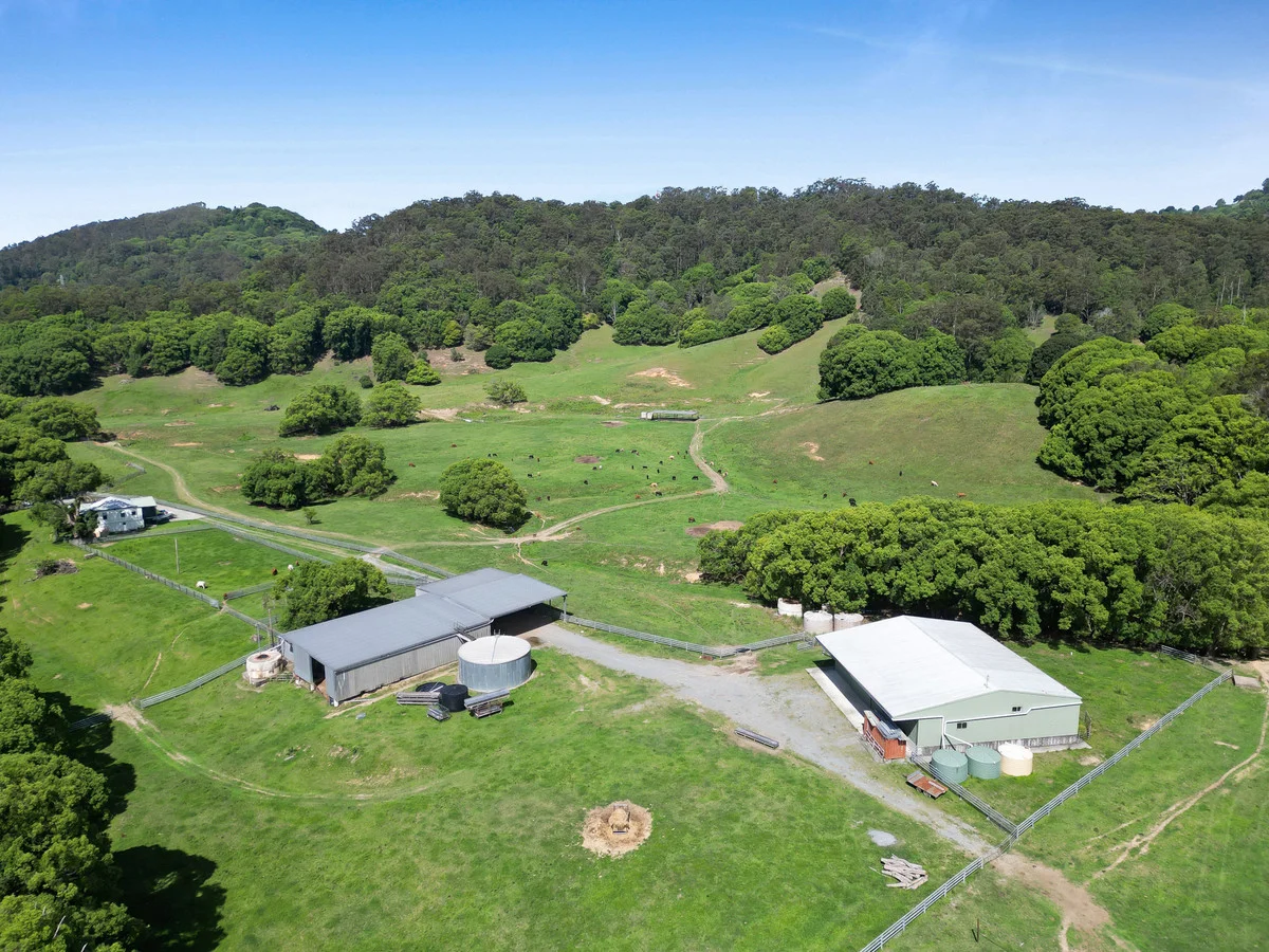 Additional image 21 of 1039 Currumbin Creek Road, Currumbin Valley QLD 4223