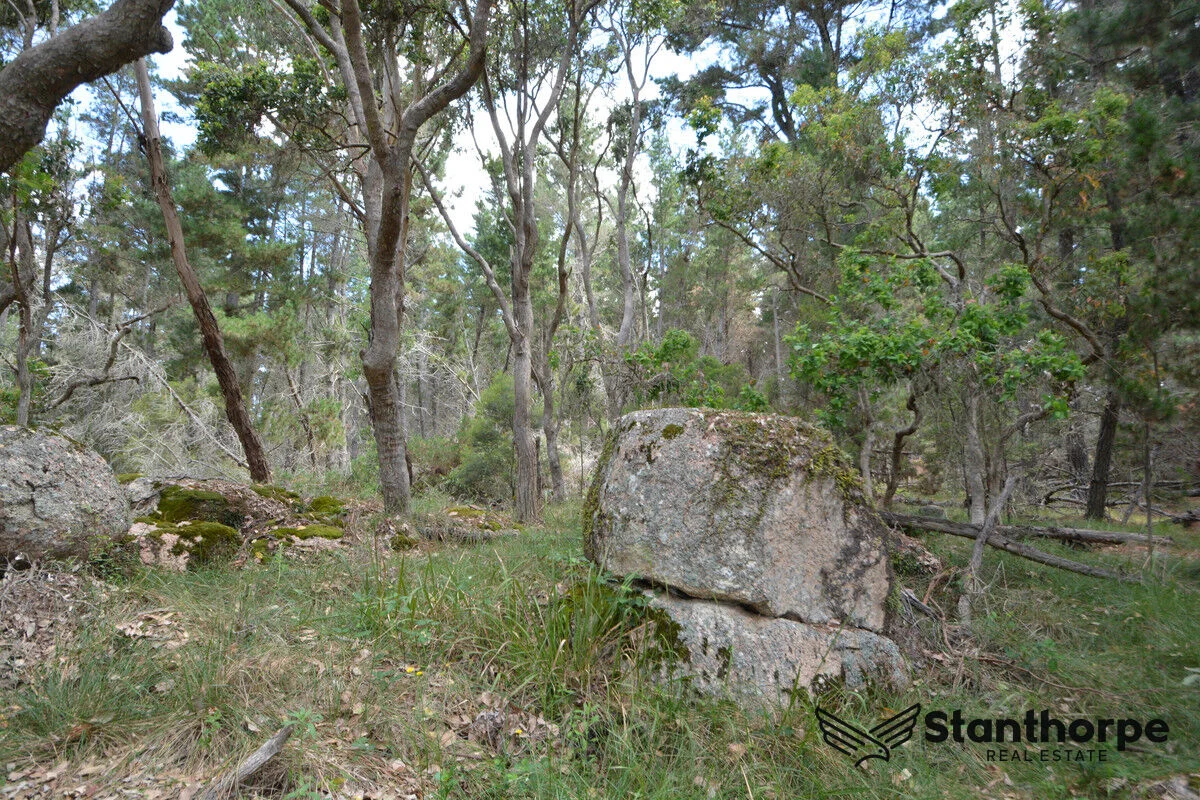 Additional image 21 of 240 Panoramic Drive, Sugarloaf QLD 4380