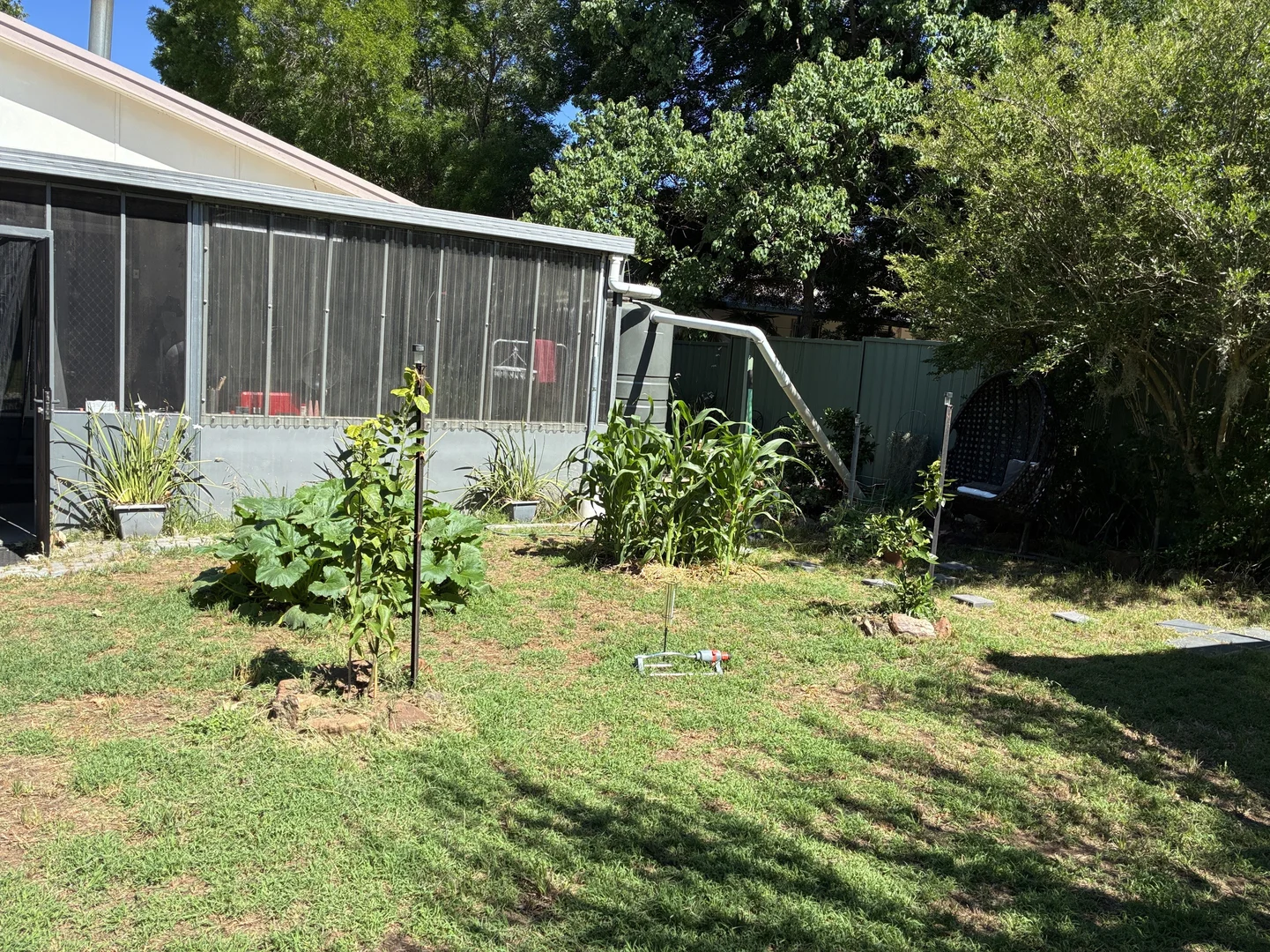 Additional image 22 of 4 Norman Street, Binnaway NSW 2395