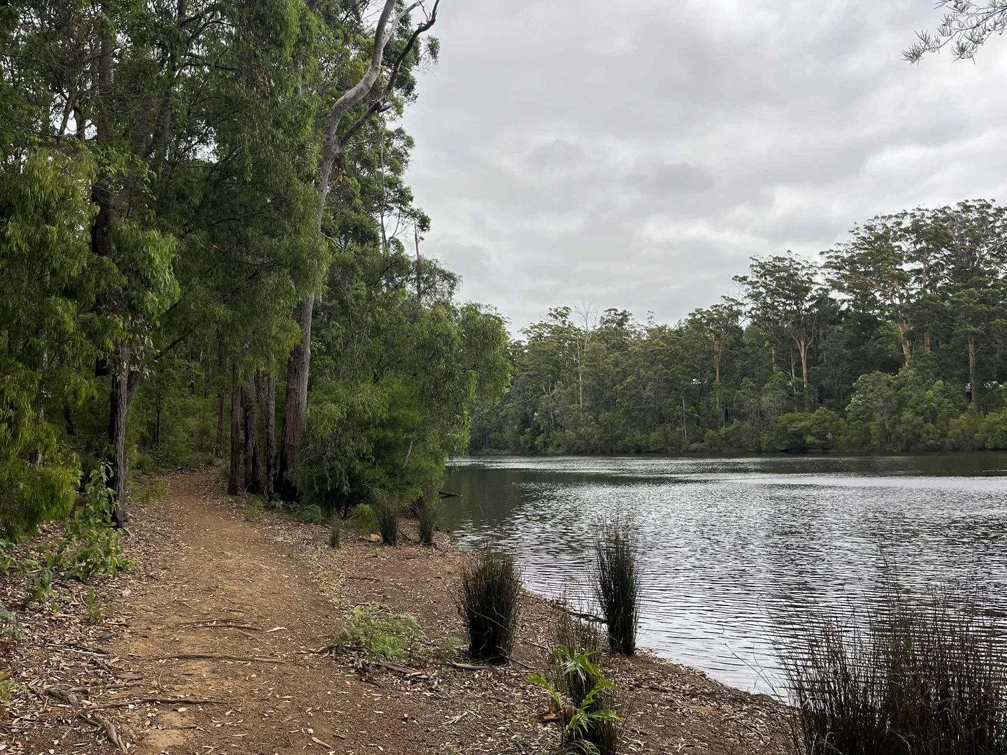 Additional image 2 of Lot 165 Karri Lane, Quinninup WA 6258