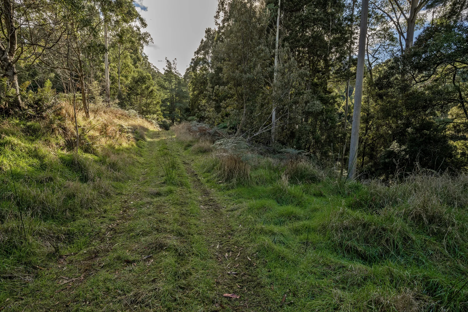 Additional image 3 of Wilmot TAS 7310