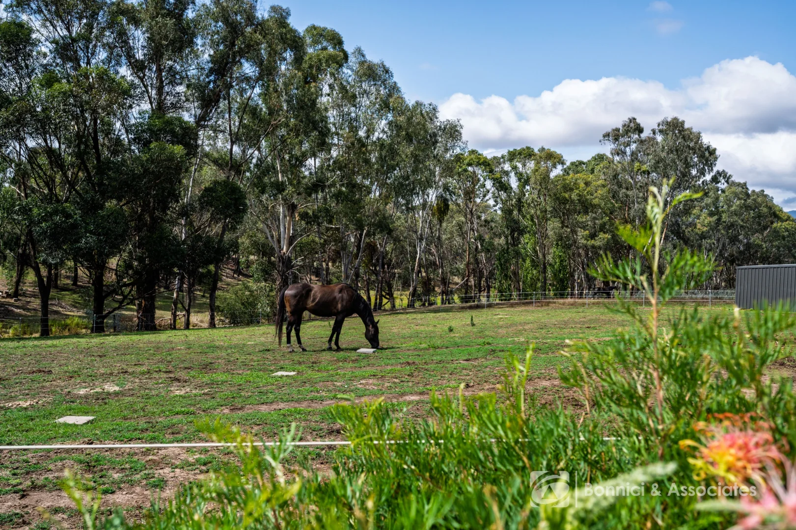 Additional image 25 of 88 Osbornes Flat Road, Yackandandah VIC 3749