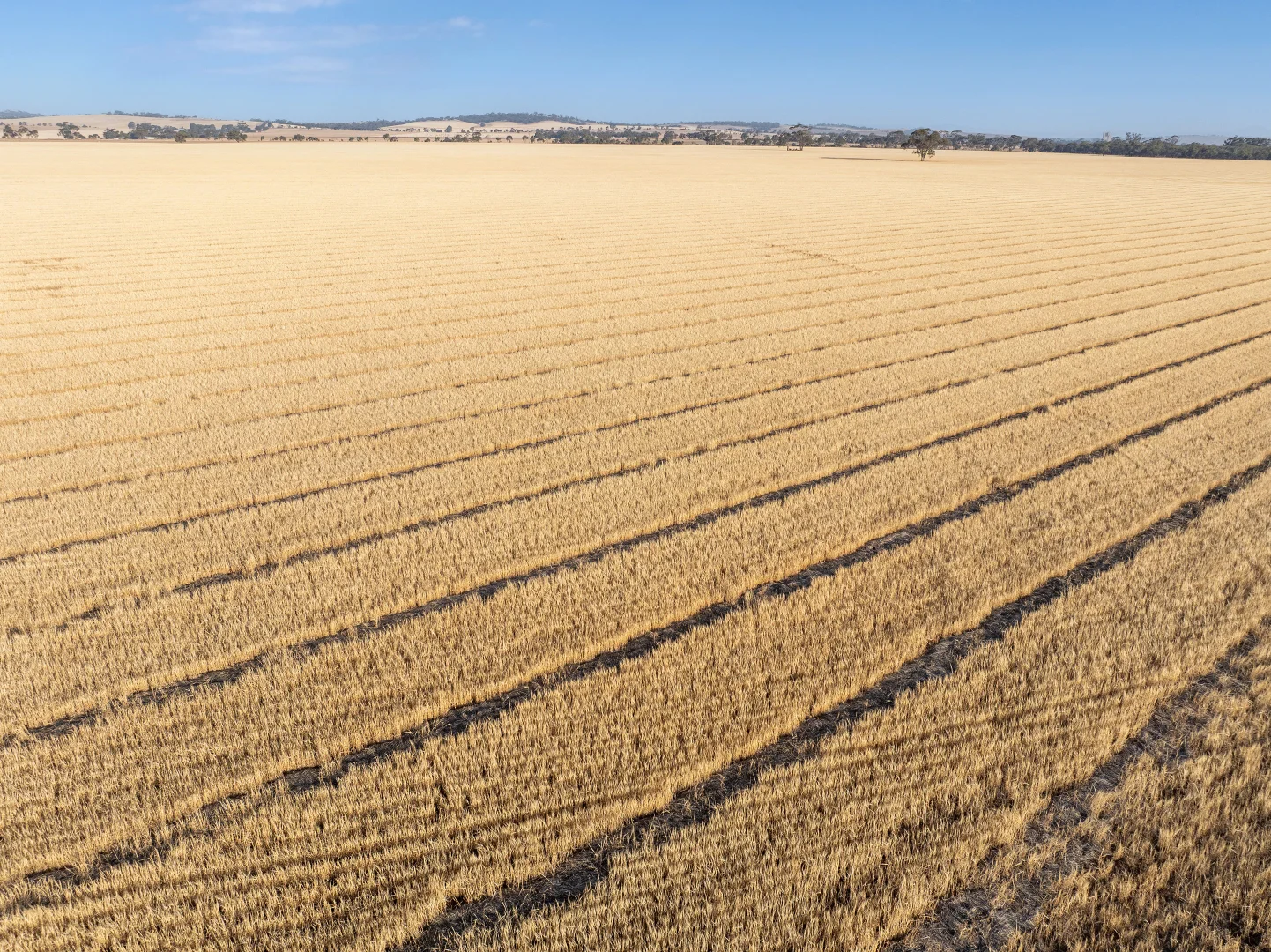Additional image 6 of 'Leske Farm' Thiele Highway, Freeling SA 5372