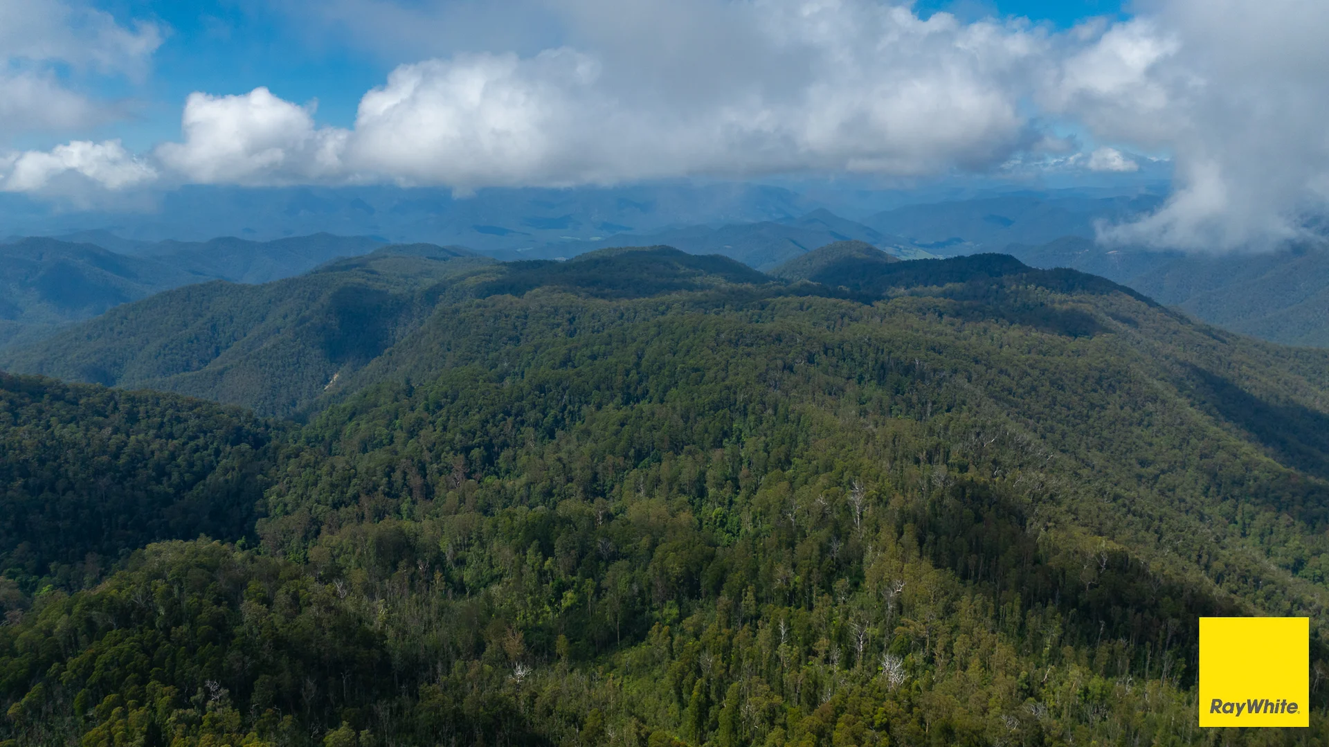 Additional image 15 of Lower Creek NSW 2440