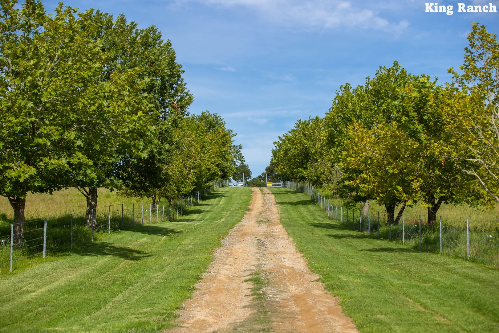 Additional image 18 of "King Ranch" 481 Upper Bobo Road, Dorrigo NSW 2453