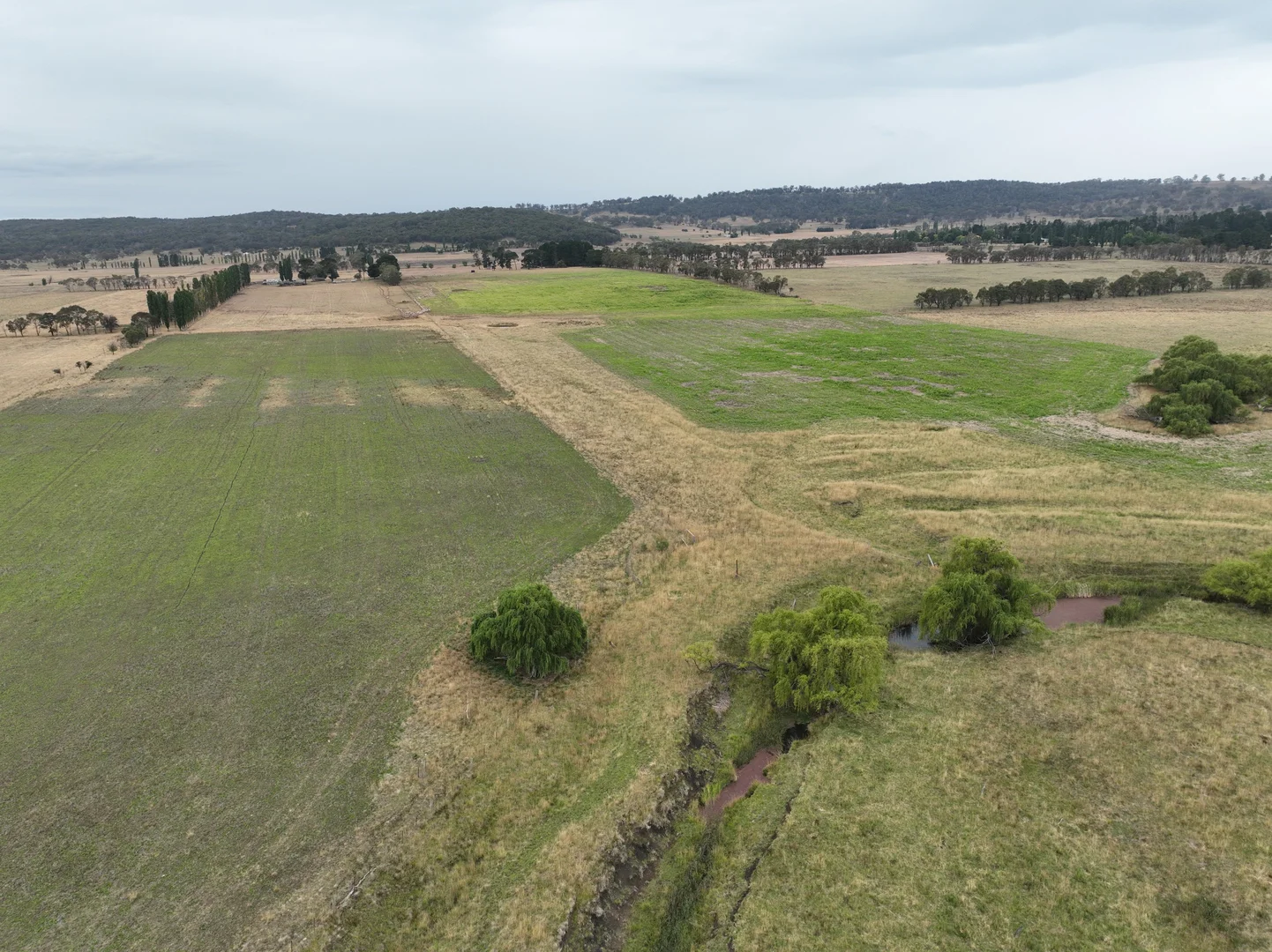 Additional image 5 of 638 Furracabad Road, Glen Innes NSW 2370