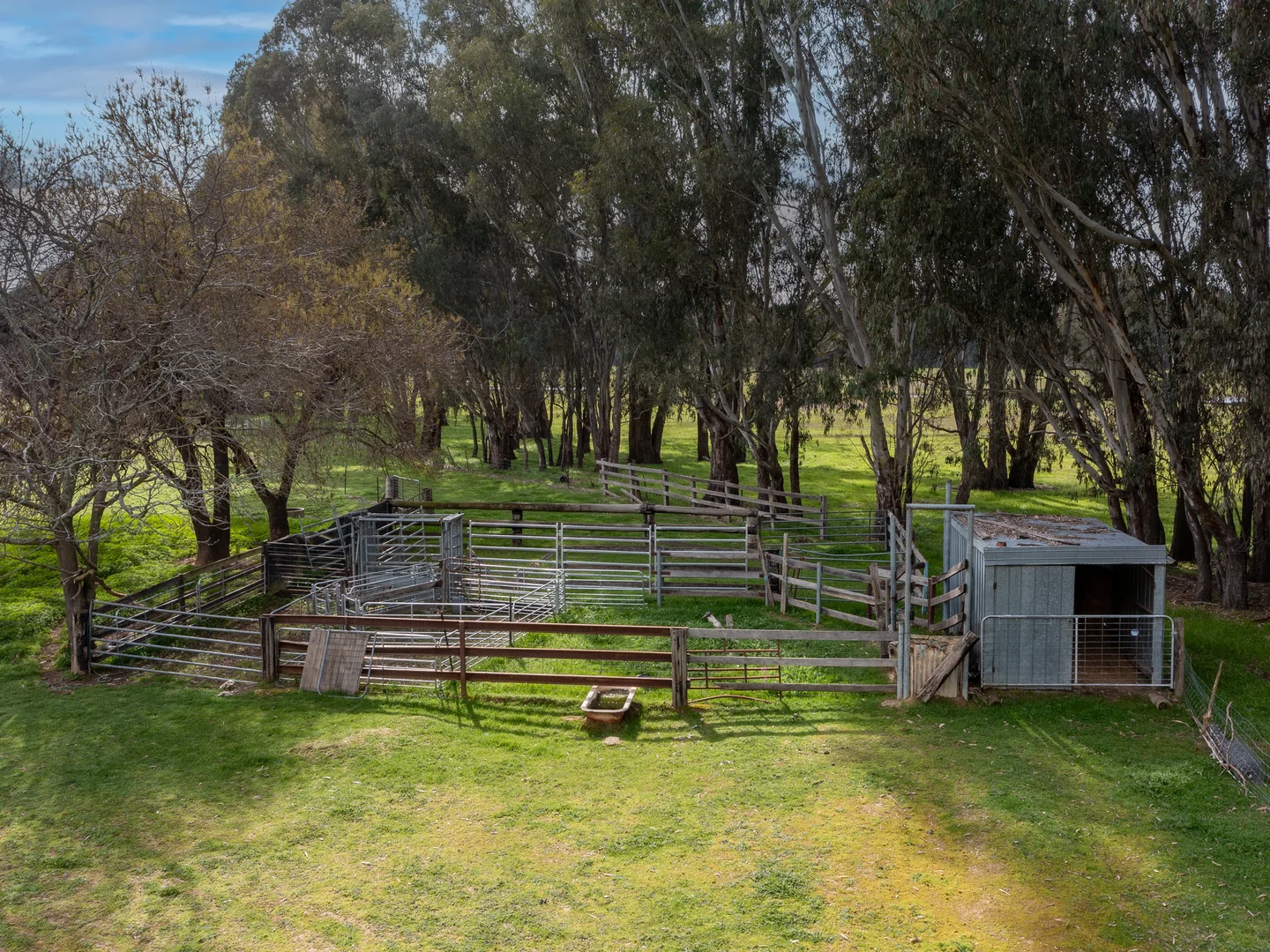 Additional image 16 of 113 Wilson Road, Wangaratta VIC 3677