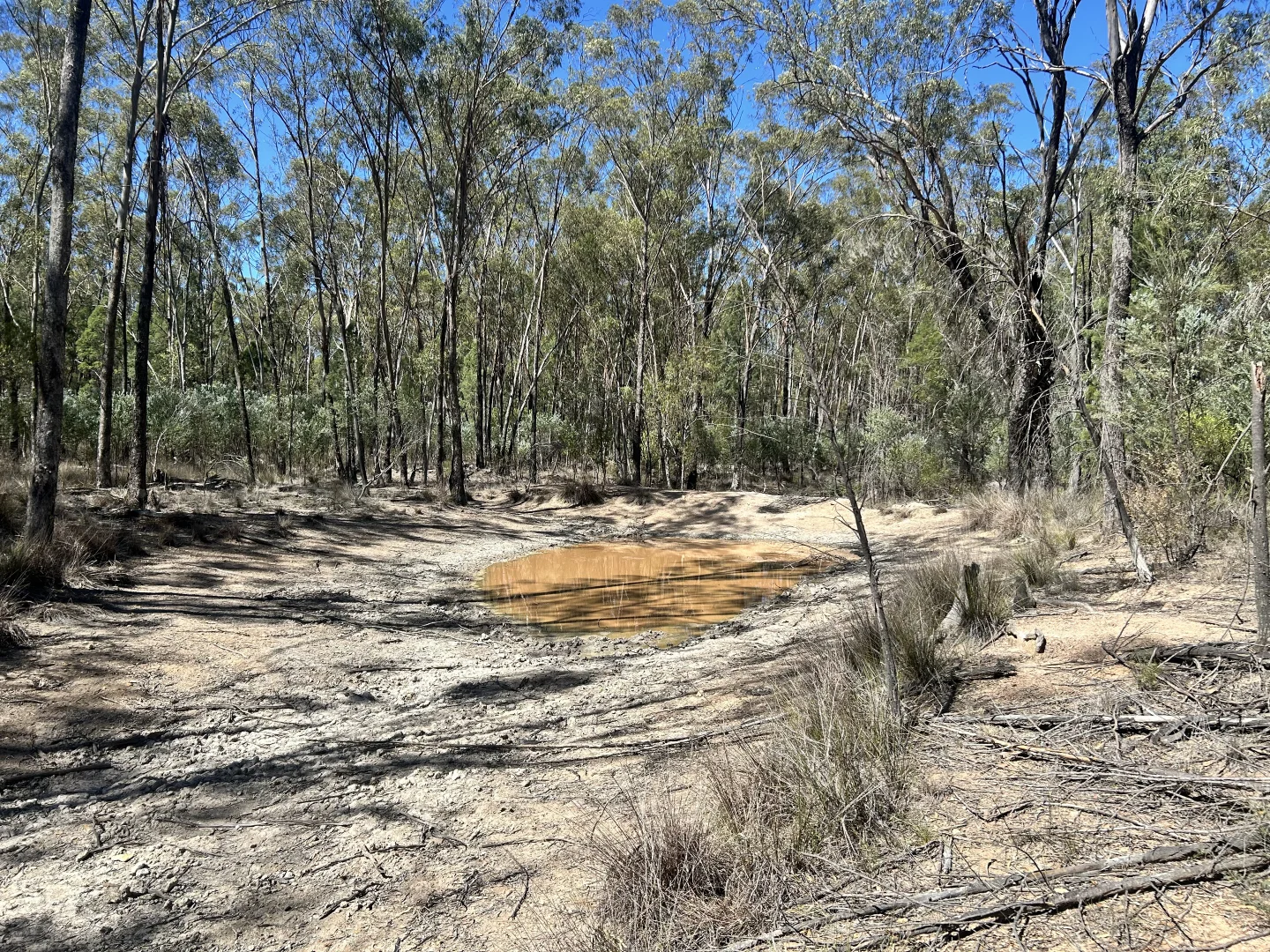 Additional image 13 of Lot 110 Biggs Rd, Coolmunda QLD 4387