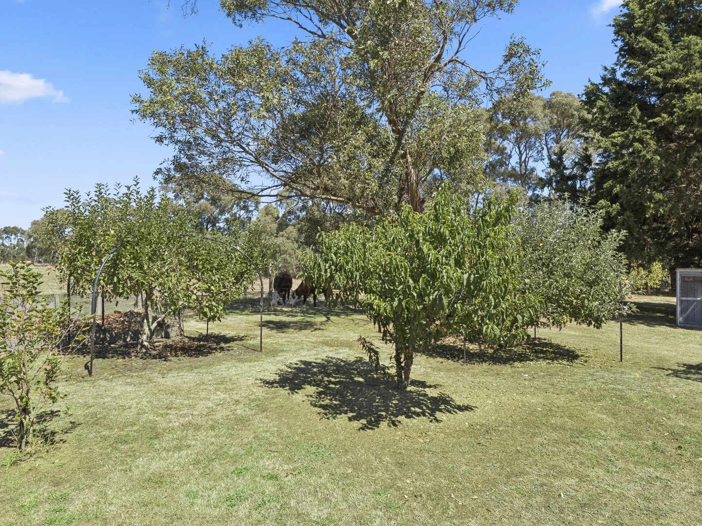 Additional image 22 of 1310 Colac - Forrest Road, Yeodene VIC 3249