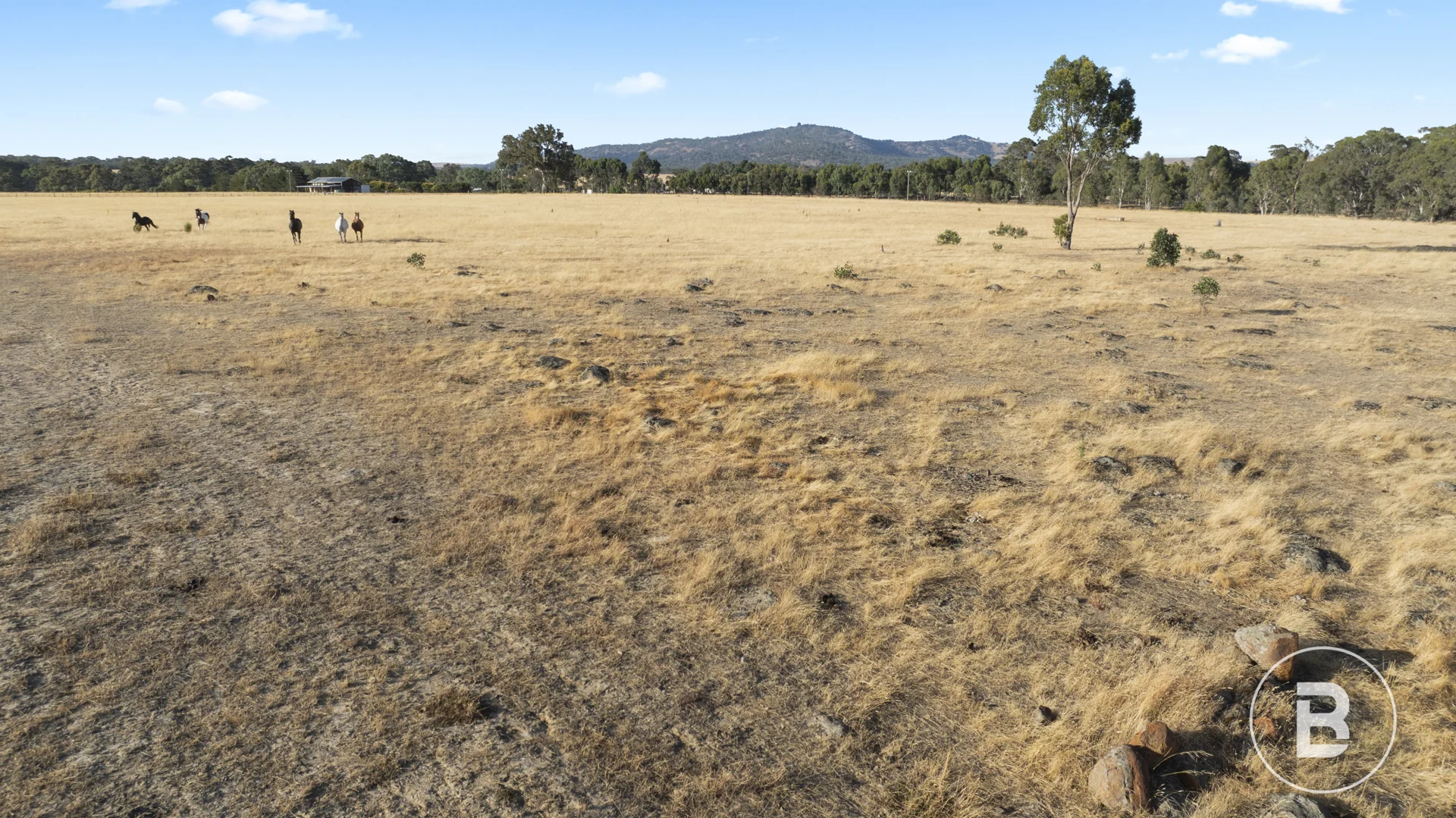 Additional image 7 of 1/3900 Ballarat- Maryborough Road, Clunes VIC 3370