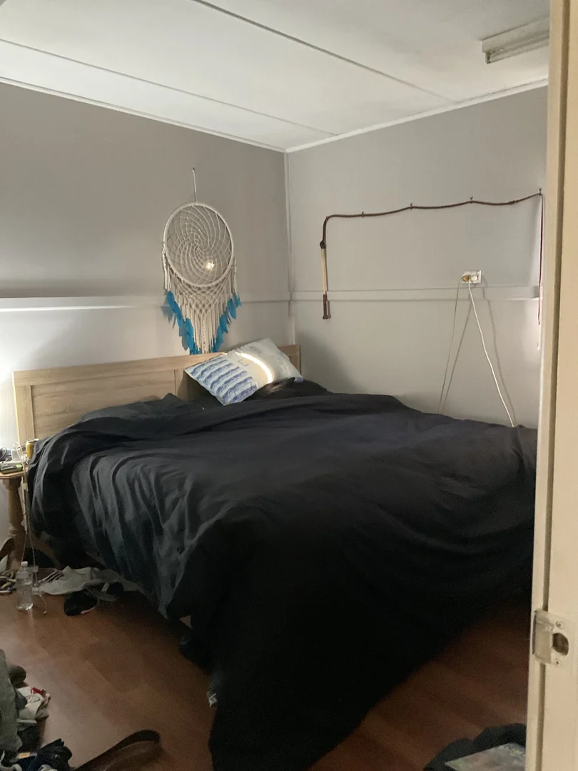 Additional image 9 of 19 Ely Street, Ashford NSW 2361