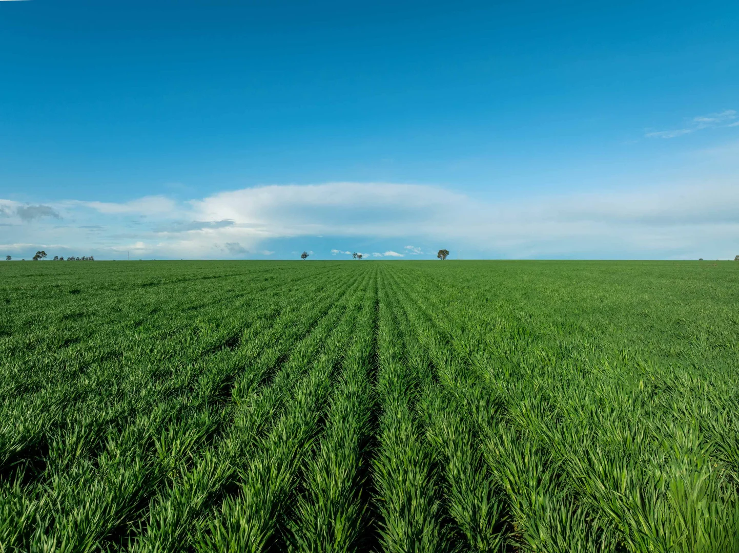 Additional image 3 of Jung VIC 3401