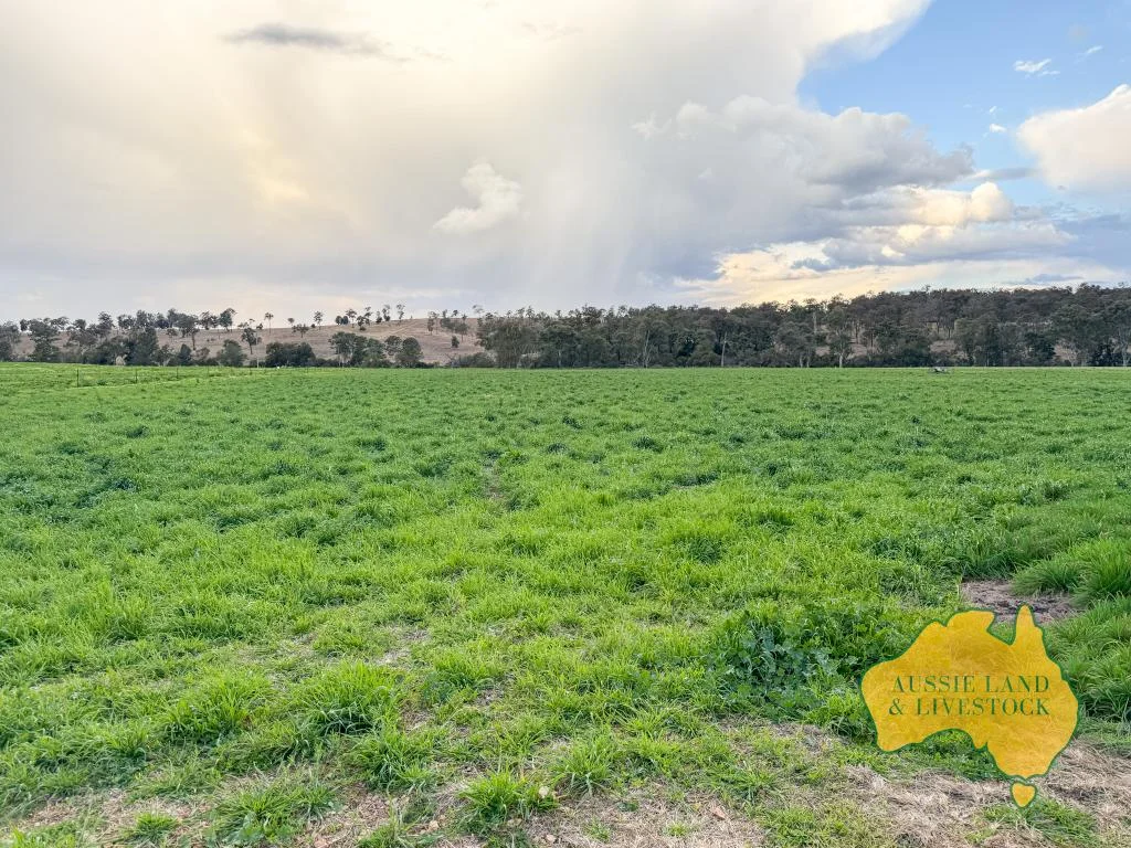 Additional image 54 of 250 Heights Road, Nanango QLD 4615