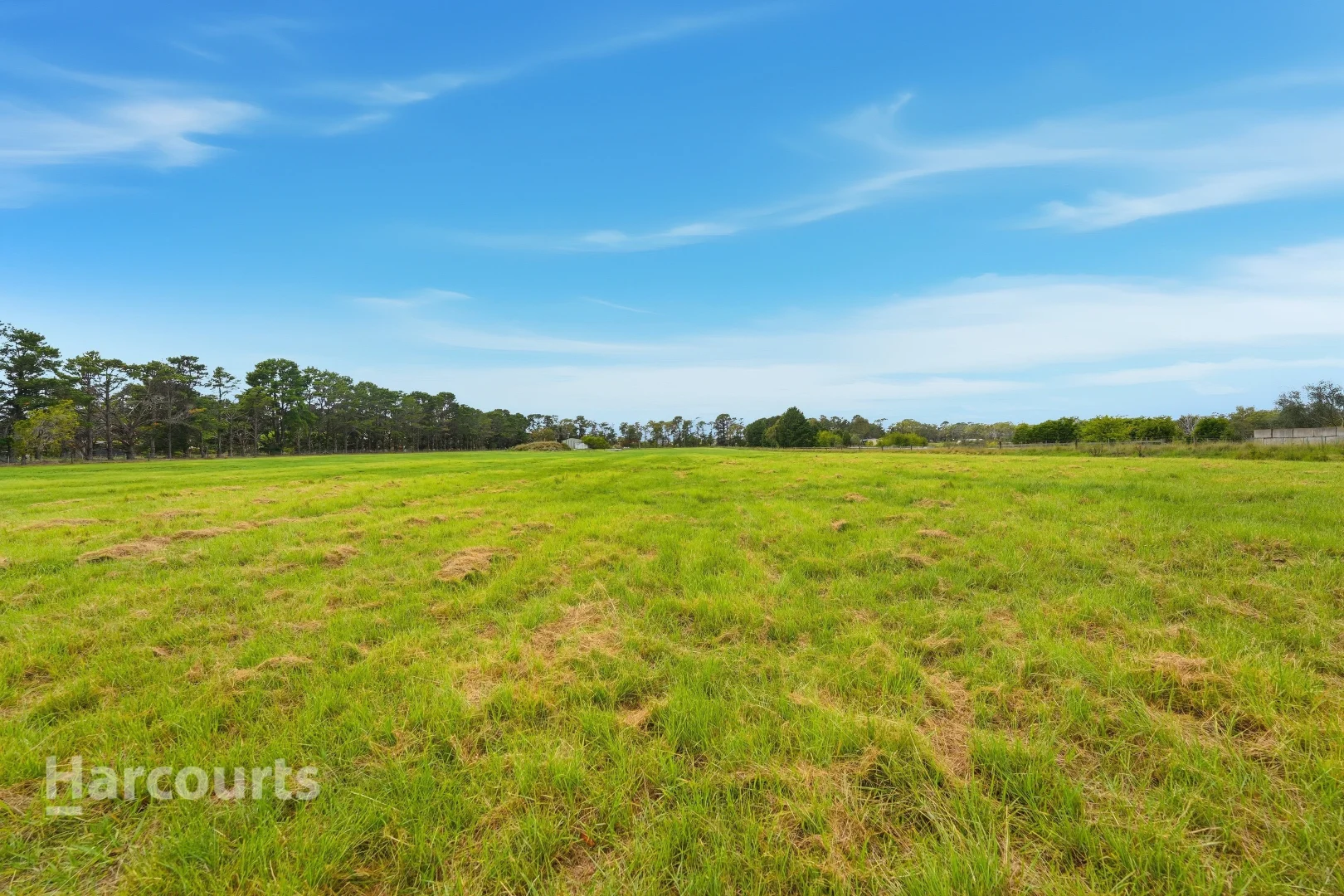 Additional image 20 of 172 Minerva Road, Wedderburn NSW 2560