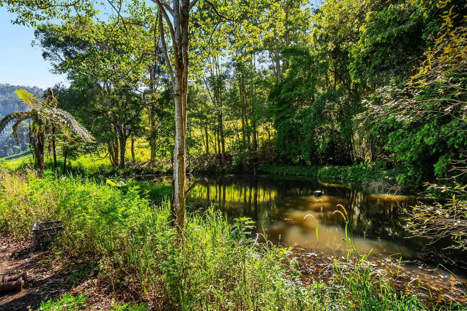 Additional image 6 of 217 Goonengerry Mill Road, Goonengerry NSW 2482