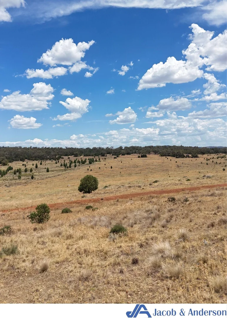 Additional image 16 of 169 Doubleday Road, Gunnedah NSW 2380