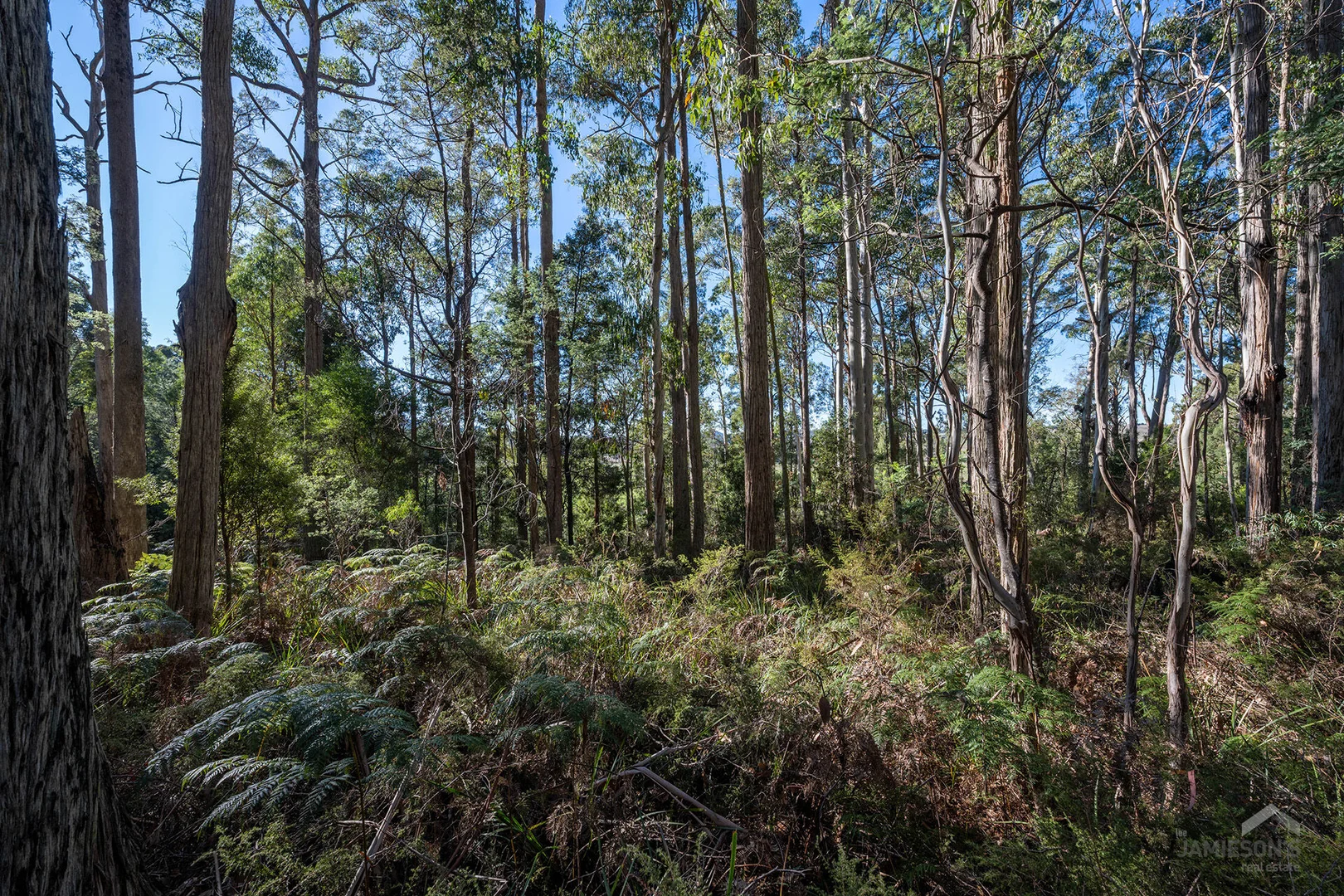 Additional image 5 of Weetah Road, Weetah TAS 7304