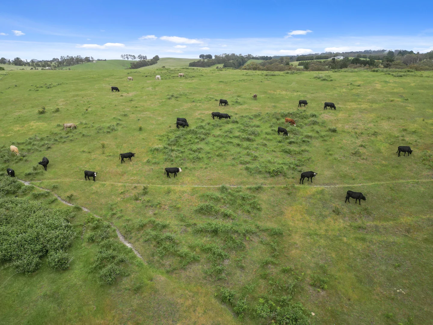 Additional image 12 of 220 Haunted Hills Road, Newborough VIC 3825