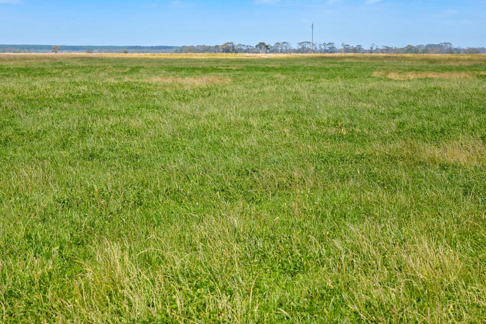 Additional image 8 of Lot 55 Princes Highway, Millicent SA 5280